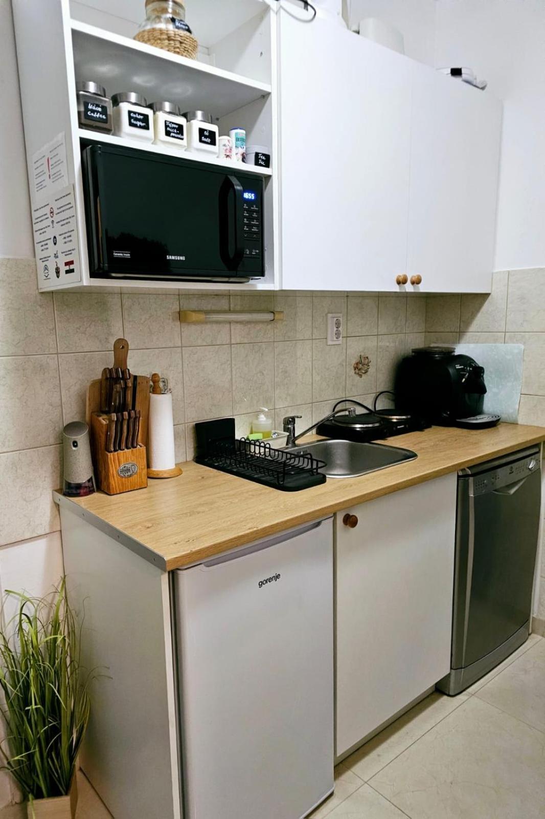 Apartment Dani